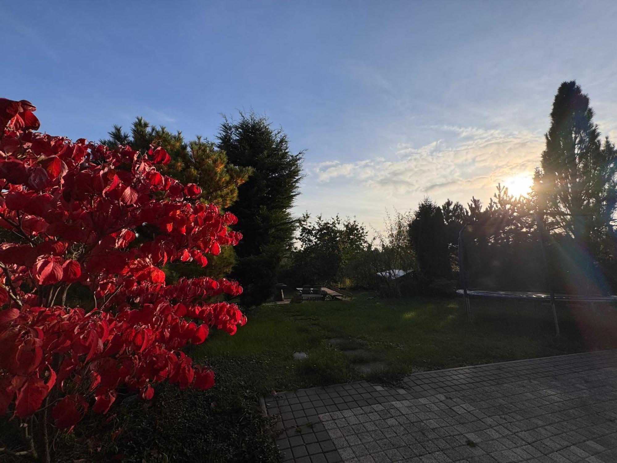 Diamondvilla, 4 Bedroom Apartment, Garden & Spa 프라하 외부 사진